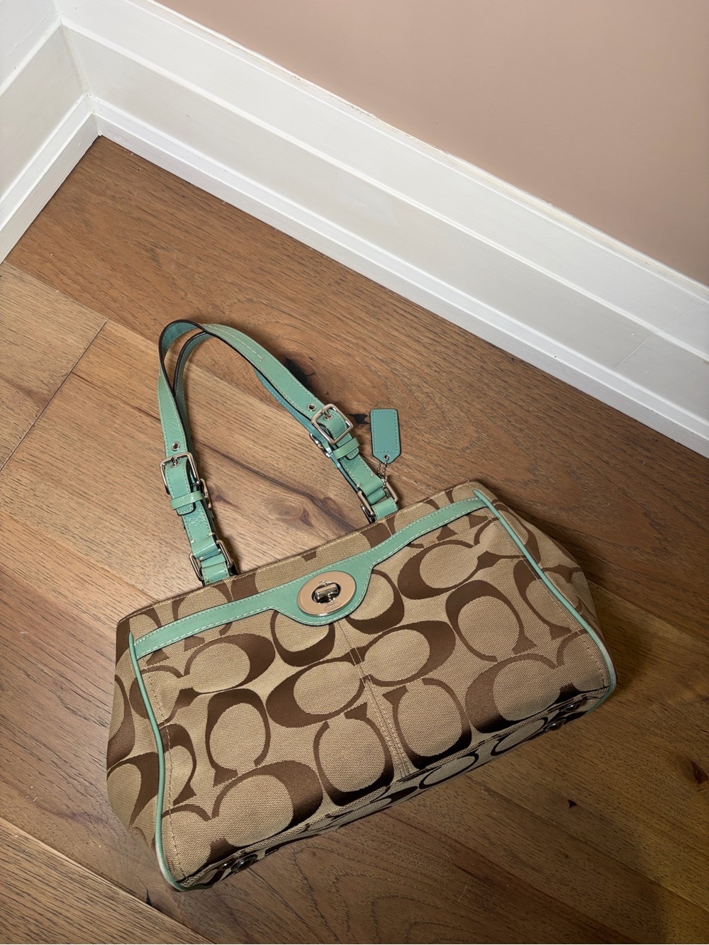 Coach Hampton signature Y2K
